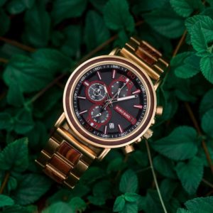 bobo bird wooden watches for men Schlosspark S18-4
