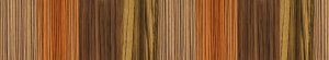 zebra wood grain